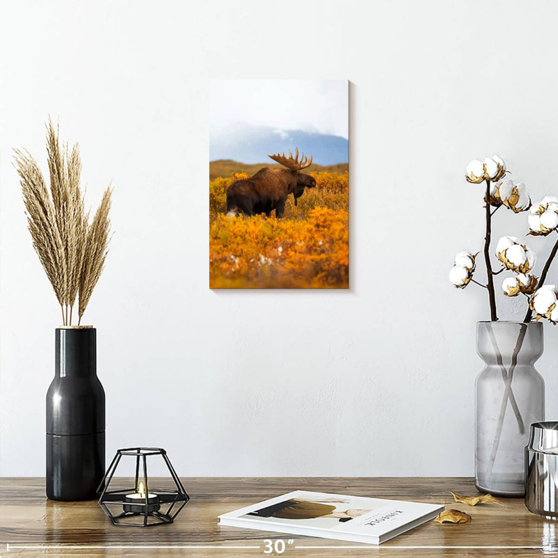 Brampt Bull Moose Wandering In Denali, 12" H x 8" W