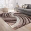 Frio Brown/Beige Shaggy Indoor Rug-362644061