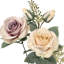Doux rosier-698147347