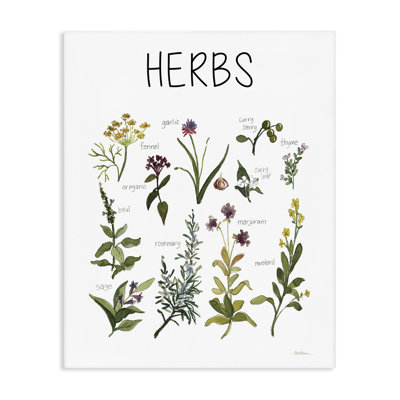 Tableau sur toile Herbs Identification, conception par Carol Robinson