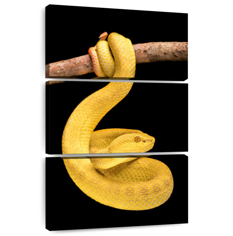 Brampt Venomous Pit Viper, 74" H x 48" W