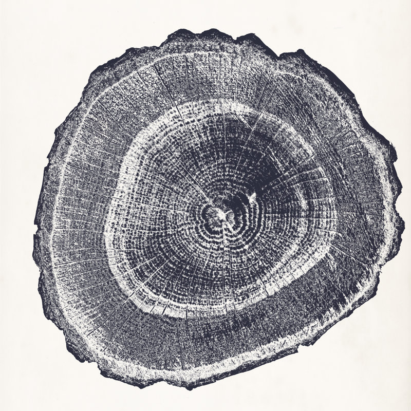 Tree Ring III - Wrapped Canvas Painting, 30cm H x 30cm W x 3.8cm D
