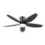 Flush Mount Ceiling Fan With Light And Remote-960508405-960508406