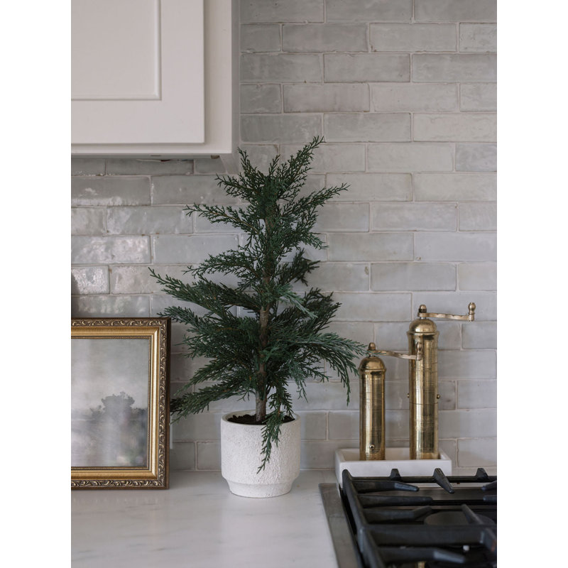 SEASONAL GREENERY TREE S/2 CEDAR POT 2FT, 36" H x 17" W x 17" D