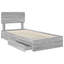 Bed-1635905703-1635905706