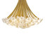 Marianne 8 - Light Chandelier