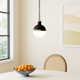 Geoffrey Single Light Glass Steel Dimmable Pendant
