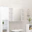 Armoire de salle de bain murale Aminoor l 31,5 po x H 25,2 po x P 8,07 po-1344199870