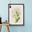 Illustration of Pink Dendrobium Orchids - Picture Frame Painting Print-55579736-55579738