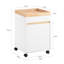 Sharun 63cm Wide File Cabinet