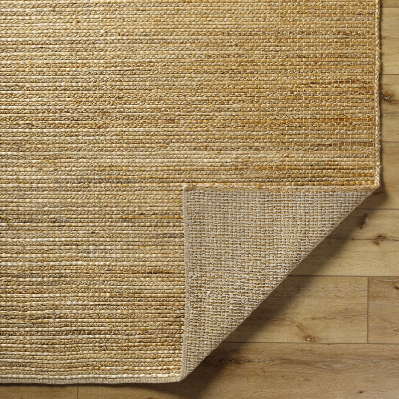 Allyannah Cottage Hand Woven Area Rug, Rectangle 2' x 3'