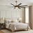 SkyFan Cygnus 65" 8-Blade Ceiling Fan