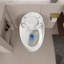 Toilette de salle de bain en céramique en forme d'œuf - blanc brillant, 1,28 chasse simple, accessoire moderne de forme blanche, chasse d'eau douce
