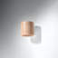 Skedee Concrete Flush Mounted Sconce-808992237