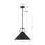 Luminaire suspendu 18 po noir-129402190