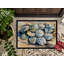 Sand Dollars Doormat-1539948832