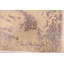 Tapis gris Legacy 8 pi 0 po x 10 pi 2 po Legacy