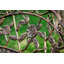  Shatley Metal Rose Garden Bench-1582944612