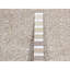 Tapis de couloir gris nouvel âge en soie 2 pi 5 po x 12 pi Catheleen
