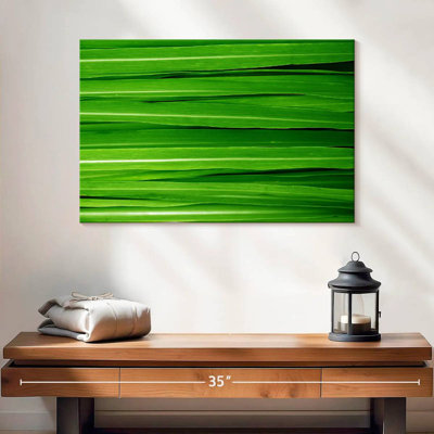 Harnek Fresh Lemongrass Leaves