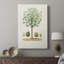 Arbre antique avec fruit VI - galerie Cavas sur mesure-118060377