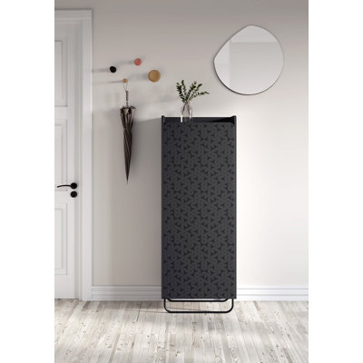 11 Pair Shoe Storage Cabinet