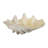 Caulksville Decorative Object-1061228762-1061228763