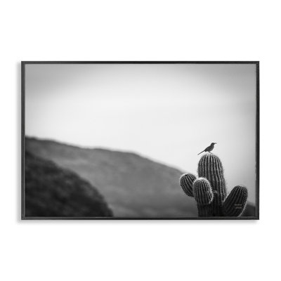Oiseau de garde et giclée de cactus par Wild Apple