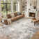 Machine Washable Area Rugs Modern Abstract Rugs Ultra Soft Indoor Floor Mat for Dining Room Low Pile Carpet with Non Slip Backing