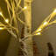 Lighted Trees & Branches