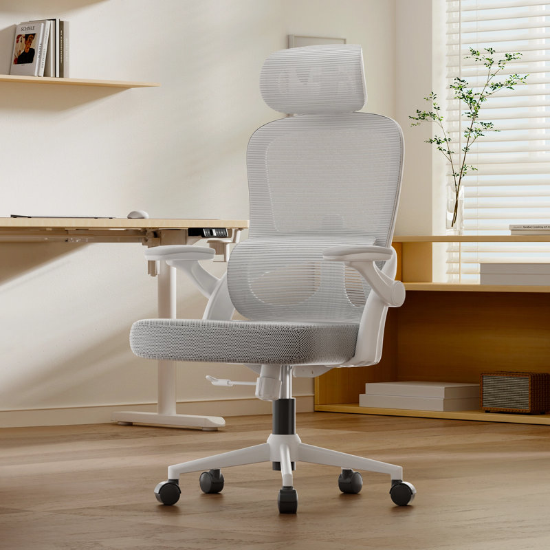 Ergonomic Mesh Office Chair with Adjustable Lumbar Support and Padded Armrests, for 5'3" to 6'6", Light Gray, White