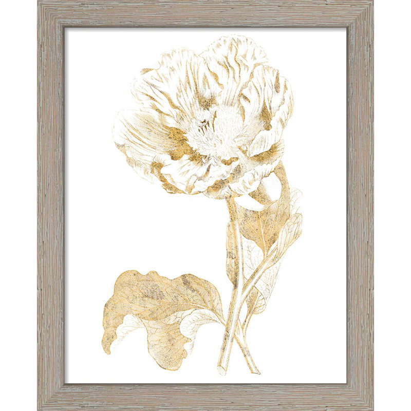 «Gilded Botanical» par Wild Apple Portfolio, ensemble de 2 encadrés