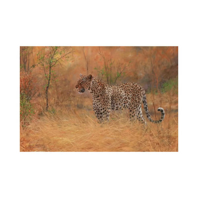 Leopard In Forest by David Stribbling - Wrapped Canvas Print