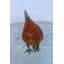 Figurine de poulet en bronze Nifao - Sculpture de ferme en émail rouge avec ailes et queue dorées - Moulage à la cire perdue fabriqué à la main - Collection rustique de décoration de cuisine et maison de campagne 8 po x 4 po x H 7 po-1202723114