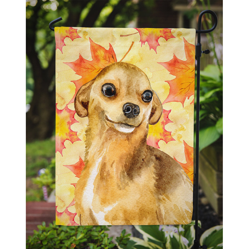 Automne 2 côtés en polyester 15 x 11 po drapeau de jardin, Chihuahua blond / brun