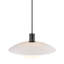 1 - Light Satin Black Dome Pendant