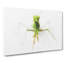 Praying Mantis In Abstract - Wrapped Canvas-55338251