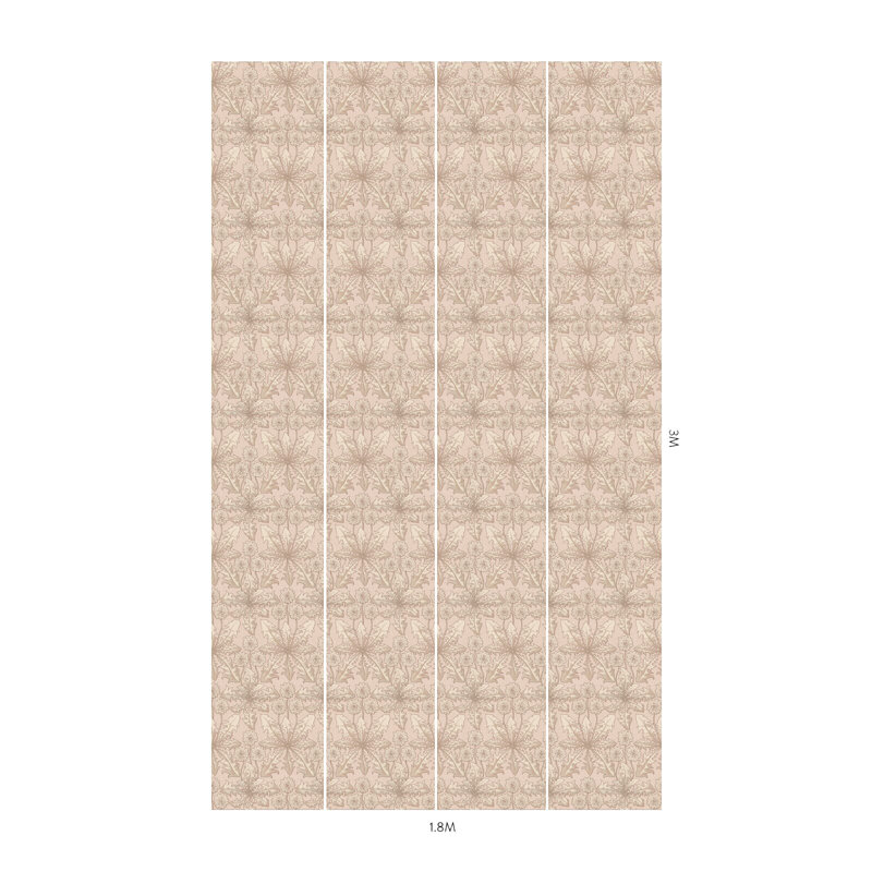 Taraxa Phlox Wallpaper