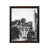Brown Framed