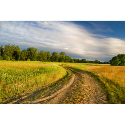 Canoby Beautiful Summer Meadow 1 Piece Wrapped Canvas Wall Art