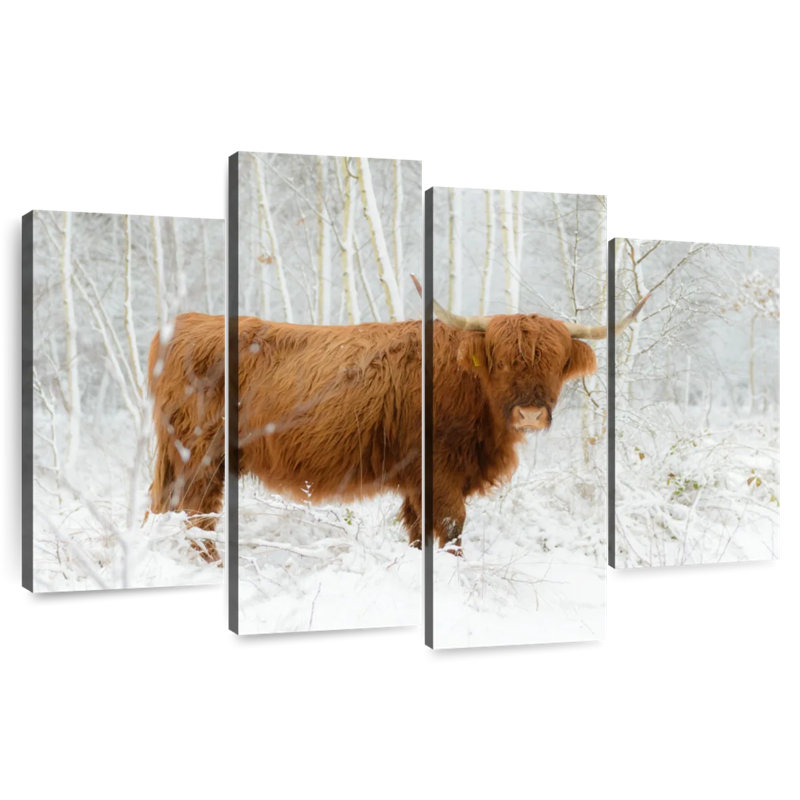Brampt Winter Highland Cow, 54" H x 84" W