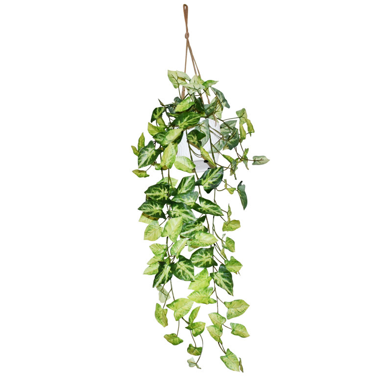 Plante d'intérieur en pot 26 po Faux Pothos  