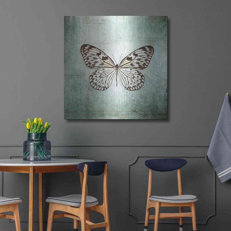 «French Butterfly V» par Debra Van Swearingen, H 36 po x l 36 po
