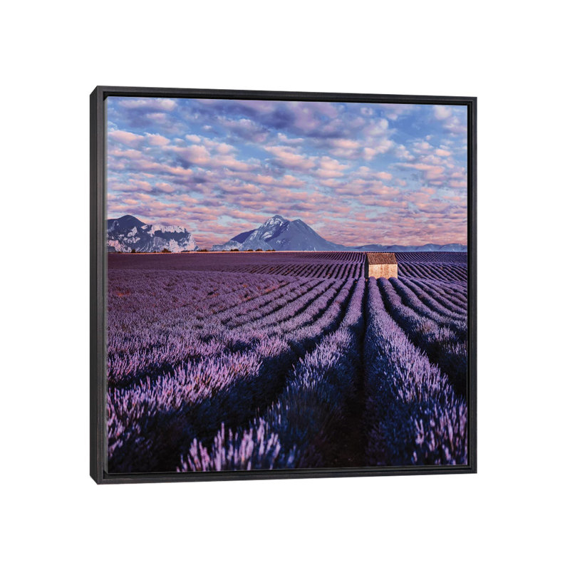 « Lavander clouds » par Hobopeeba-reproduction d’art, H 26 po x l 26 po x P 1,5 po, Toile avec cadre noir patiné