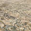 Tapis Divina-92257232