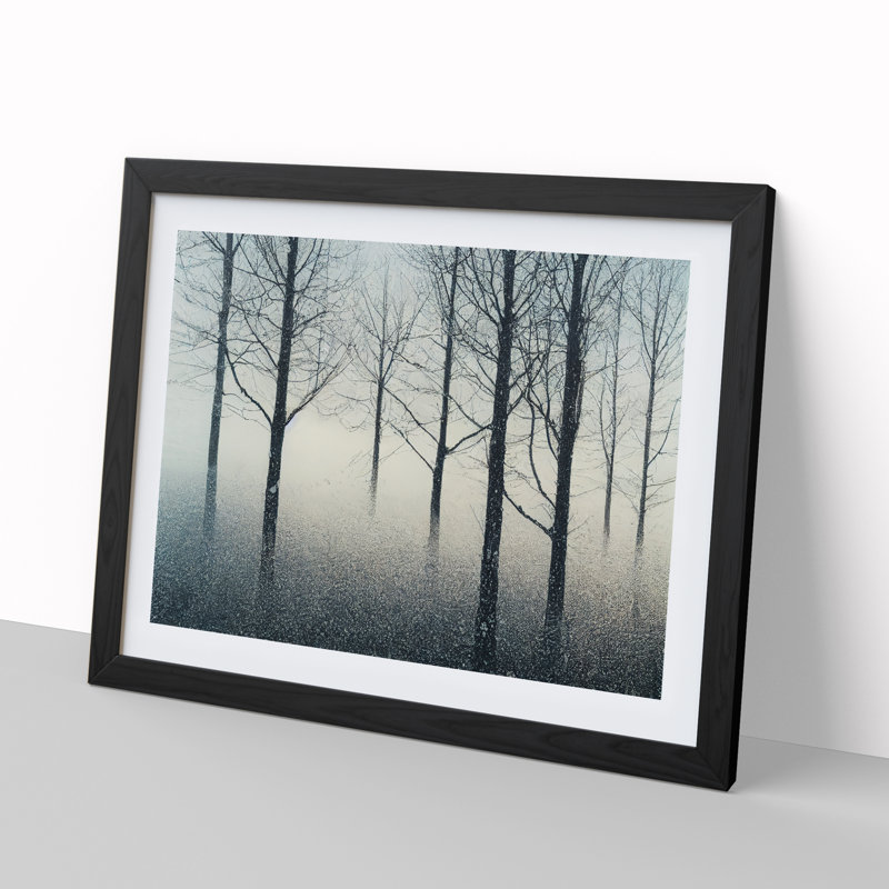 Progressive Winter Forest - Single Picture Frame Print, Black Framed, 46cm H x 64cm W x 2cm D