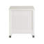 Lanora 22.5'' W Solid Wood Nightstand-1739038516
