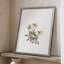 Impression florale vintage encadrée CL XXVI - bois massif-393432353