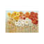Daisies Spring by Danhui Nai - Painting on Canvas-1990973669-1912787658