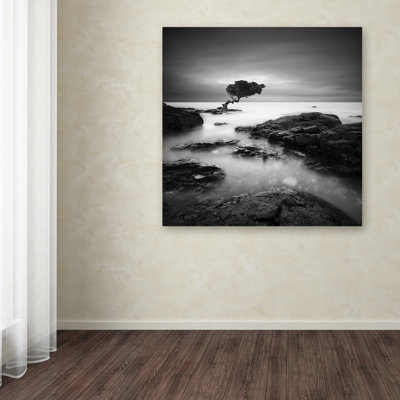 'Tree of Temptation' Photographic Print on Wrapped Canvas